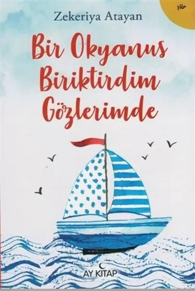 Bir Okyanus Biriktirdim Gözlerimde Fiyatı, Yorumları ve Özellikleri