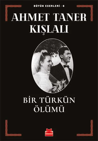 Bir Türkün Ölümü Fiyatı, Yorumları ve Özellikleri