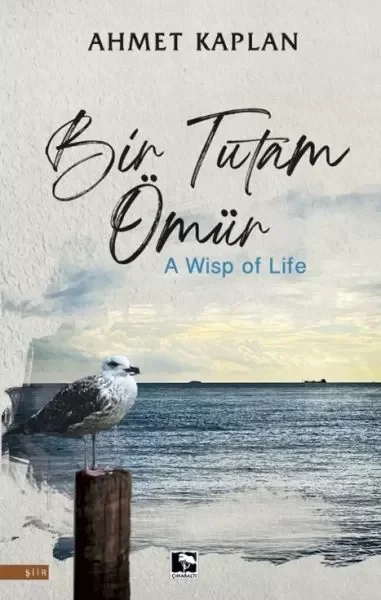 Bir Tutam Ömür Fiyatı, Yorumları ve Özellikleri