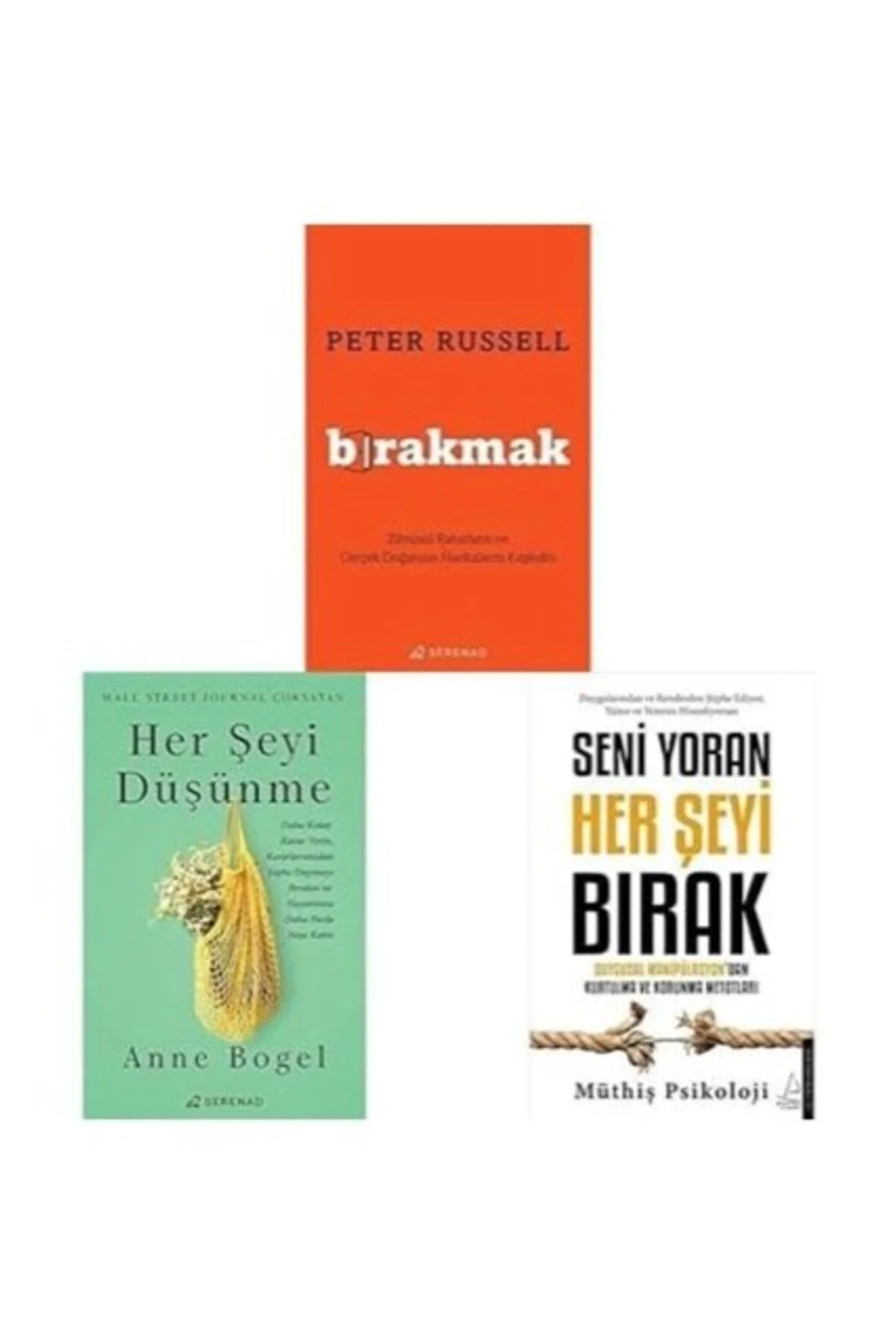 birakmak + herseyi dusunme + seniyoran herseyi birak=(3kitap)