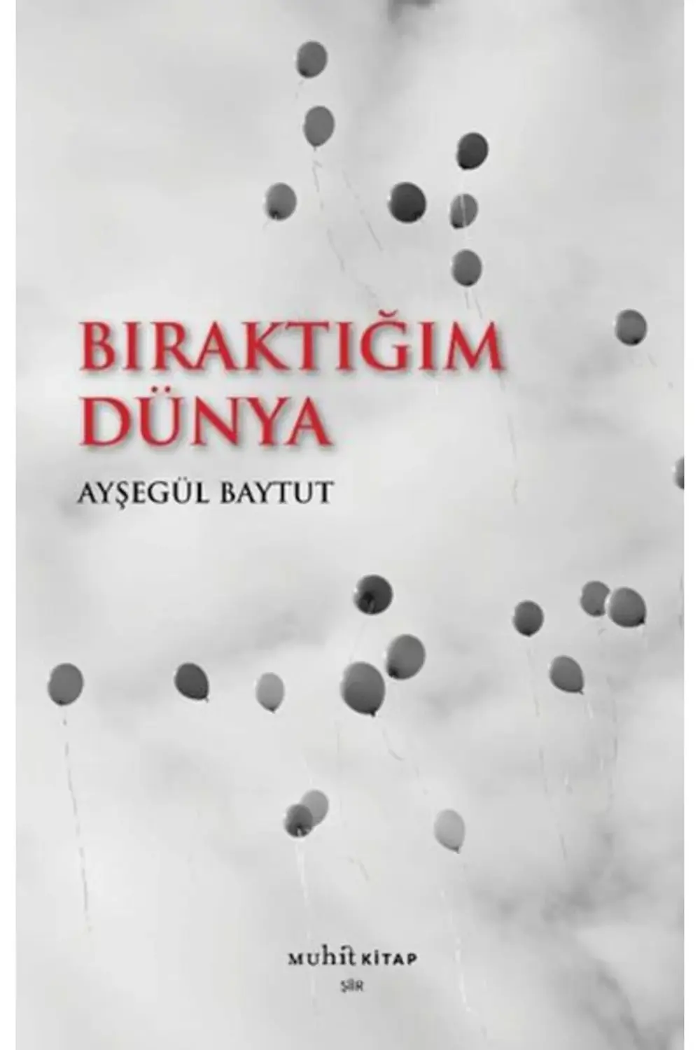 Bıraktığım Dünya