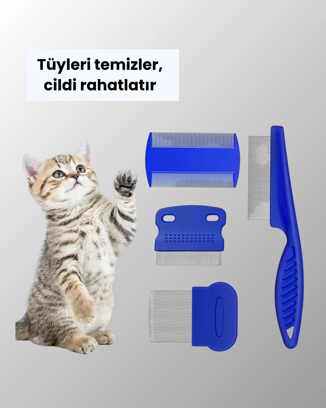 Bit, Pire ve Tüy Temizliğine Uygun Çok Amaçlı Evcil Hayvan Tarağı