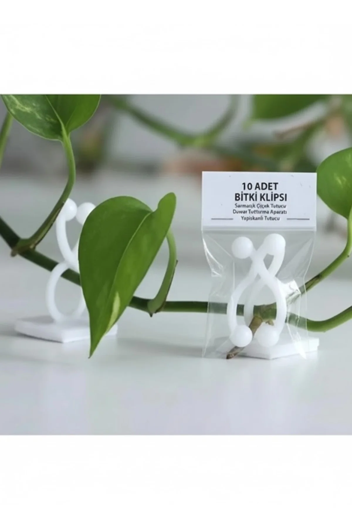 “Bitki & Sarmaşık Tutucu Duvar Klipsi – 4 cm 10 Adet Yapışkanlı B