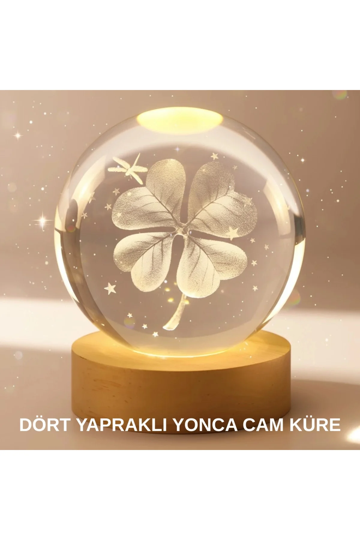 Bitki Temalı LED Işıklı Cam Küre Ahşap Standlı Modern Gece Lambas Bitki Temalı LED Işıklı Cam Küre Ahşap Standlı Modern Gece Lambas