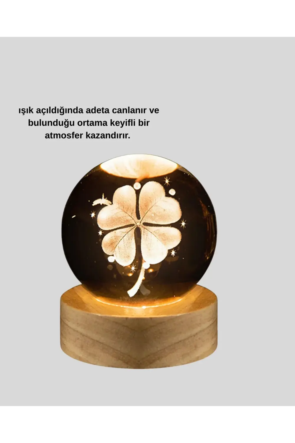 Bitki Temalı LED Işıklı Cam Küre Ahşap Standlı Modern Gece Lambas Bitki Temalı LED Işıklı Cam Küre Ahşap Standlı Modern Gece Lambas