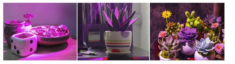 Bitki Yetiştirme Lambası Tam Spektrum 