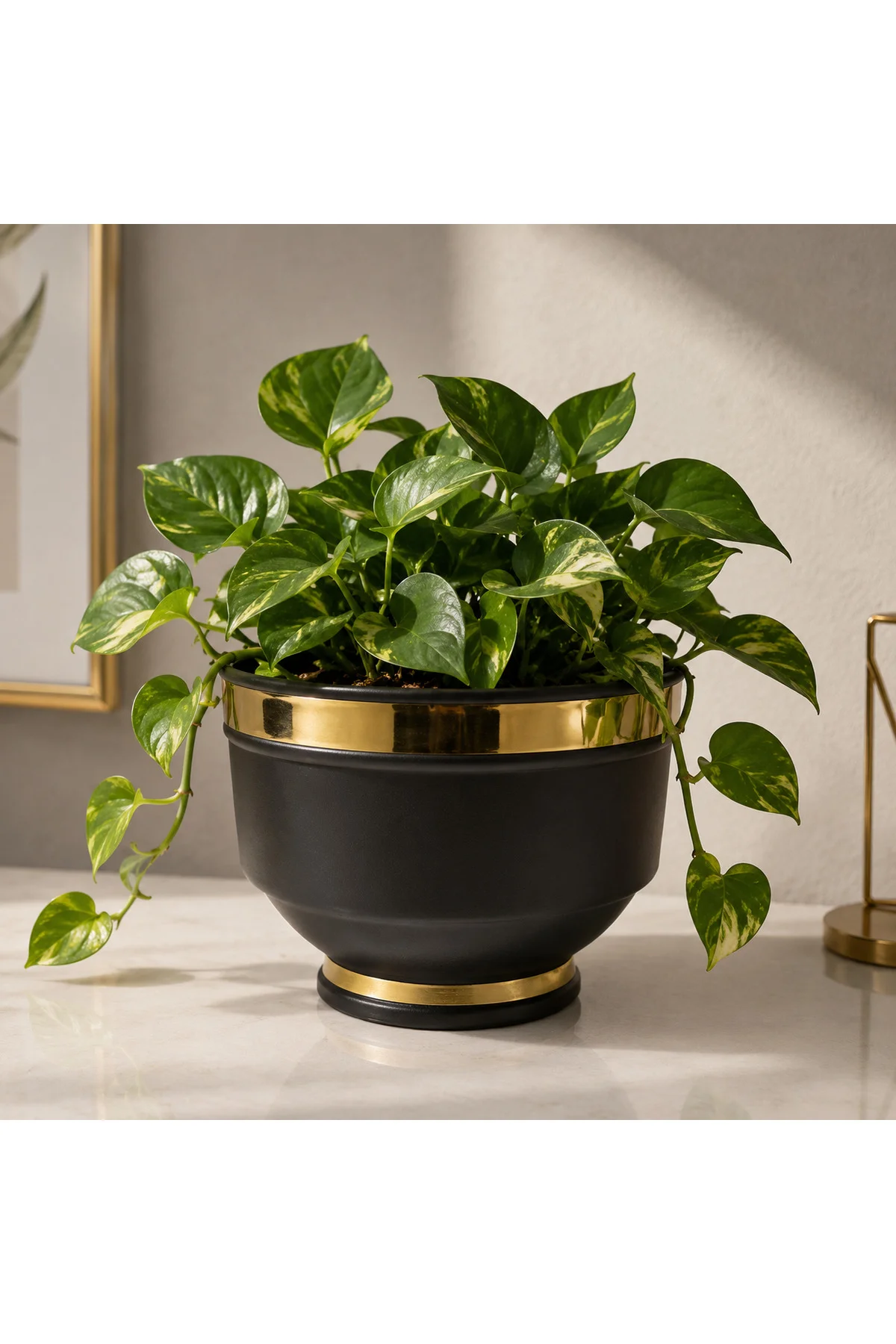 Bitkidunyam Metal Saksı, Mat Siyah ve Altın Detaylı, Modern Stil, Bitkidunyam Metal Saksı, Mat Siyah ve Altın Detaylı, Modern Stil,