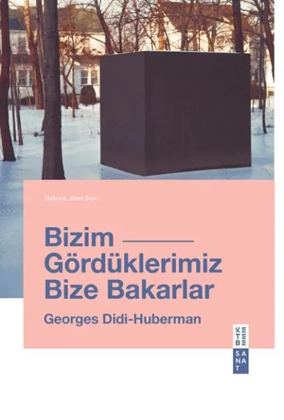 Bizim Gördüklerimiz Bize Bakarlar Fiyatı, Yorumları ve Özellikleri