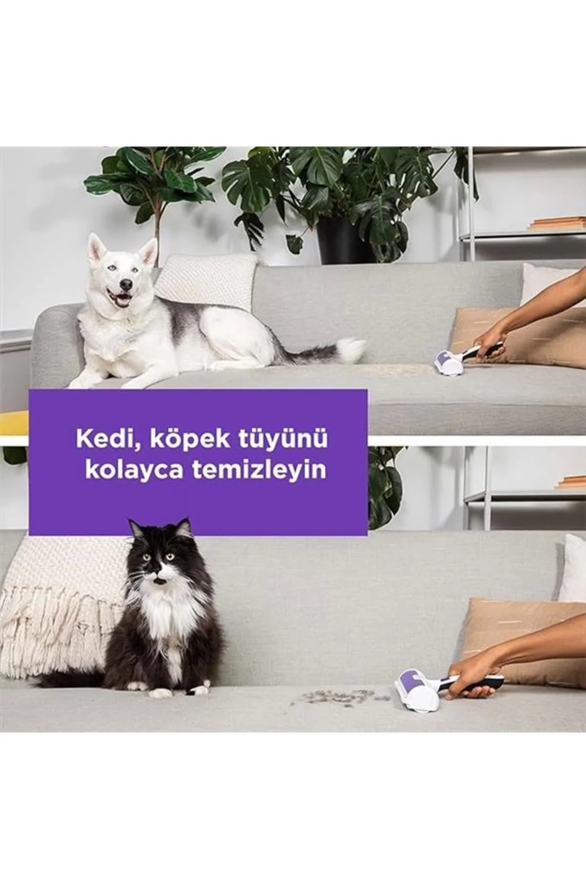 Black + Decker HMSCT0001-XJ Evcil Hayvan Tüy Toplayıcı, Rulo, Köp