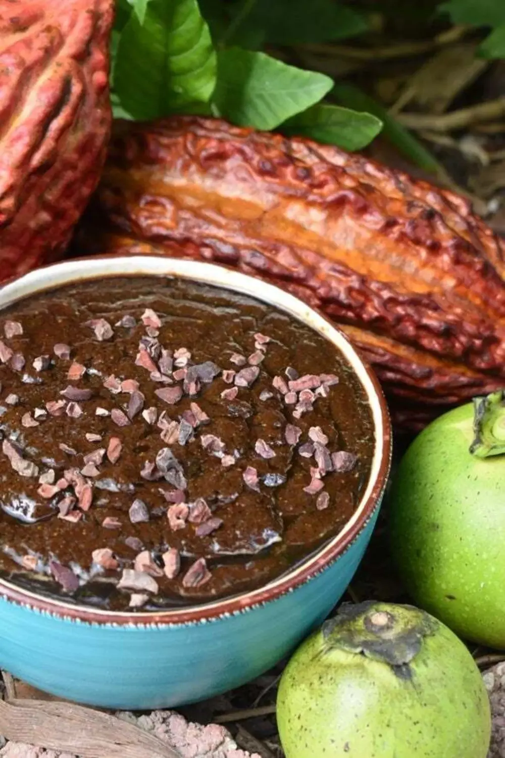 Black Sapote Çikolata Meyvesi Ağacı Fidanı 2 Yaş 50 cm