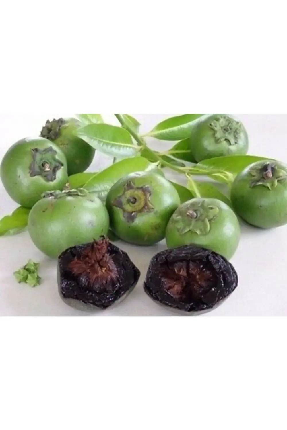 *black Sapote (çikolata Meyvesi Ağacı) Fidanı 4 Yaş 80 Cm