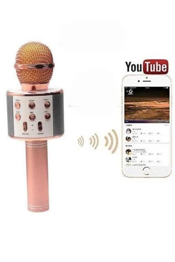 Bluetooth Hoparlör USB AUX SD Kart Karaoke Mikrofon Uzun Pil Ömrü - Kablosuz Taşınabilir Ses Sistemi