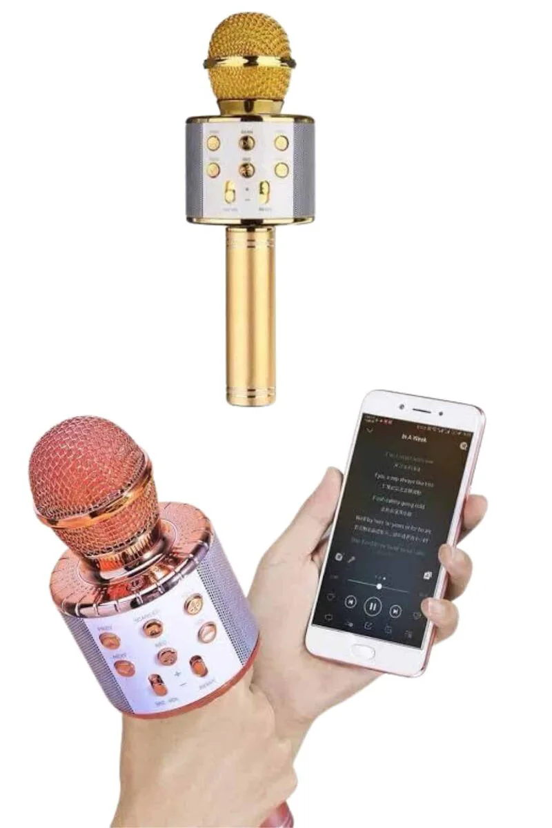 Bluetooth Hoparlör - USB, AUX, SD Kart, Karaoke Mikrofonlu, Uzun Pil Ömrü