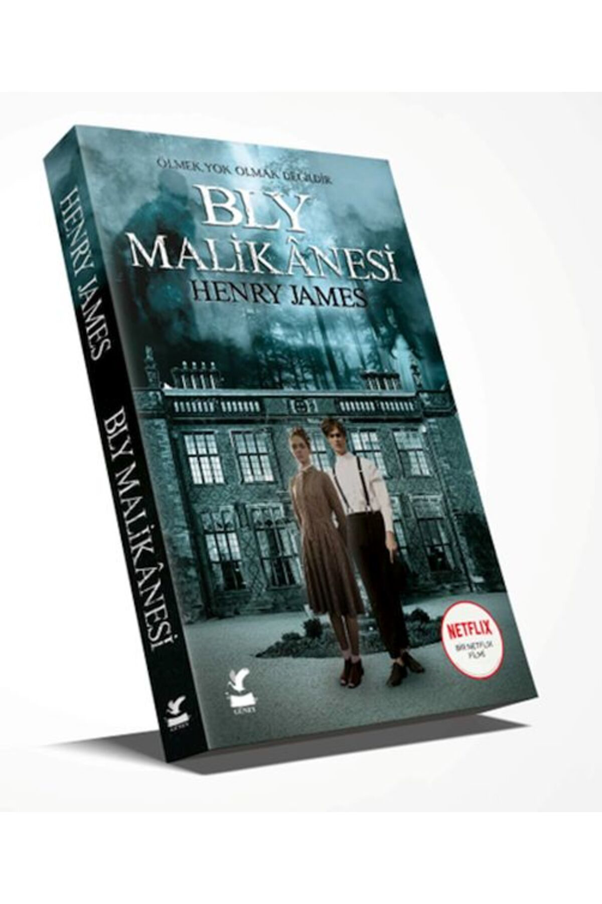 Güney Kitap Bly Malikanesi