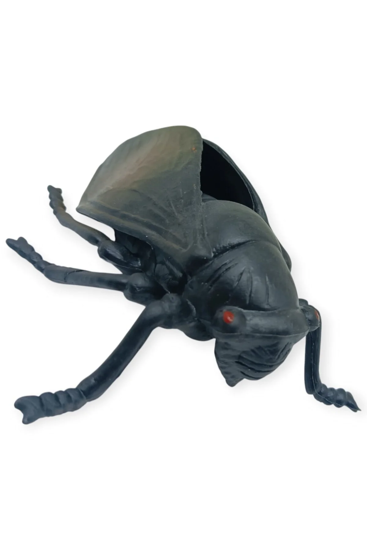 Böcek Figürleri - Gerçekçi Figür - Ağustos Böceği 10 cm (Lisinya)