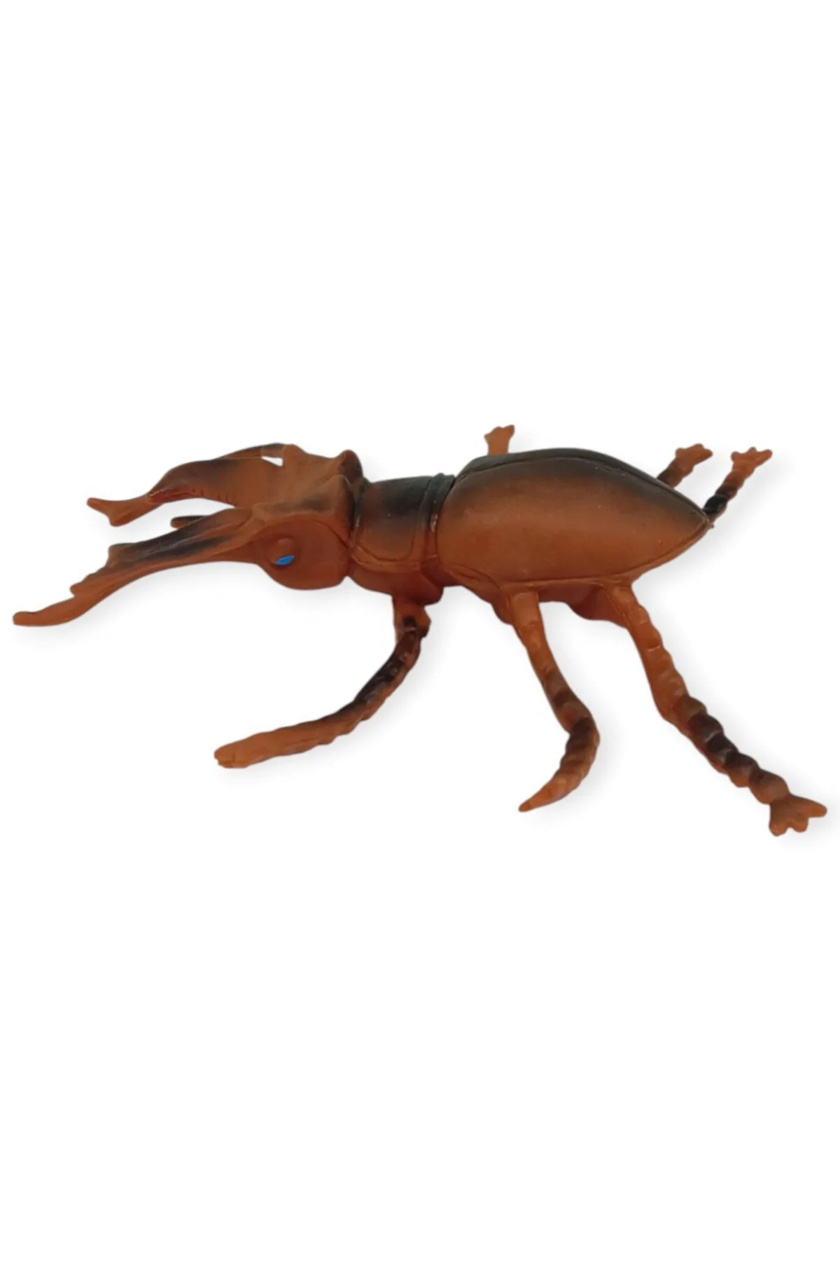 Böcek Figürleri - Gerçekçi Figür - Avurpa Geyik Böceği 10 cm (Lis