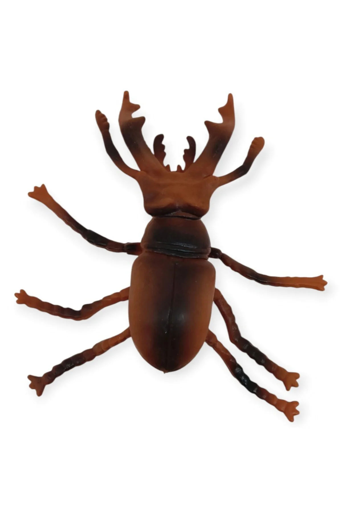 Böcek Figürleri - Gerçekçi Figür - Avurpa Geyik Böceği 10 cm (Lis