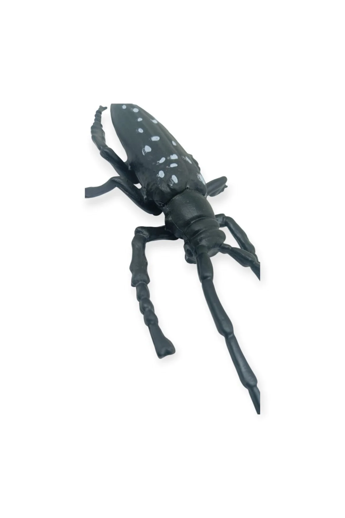 Böcek Figürleri - Gerçekçi Figür - Turunçgil Uzun Boynuzlu Böceği