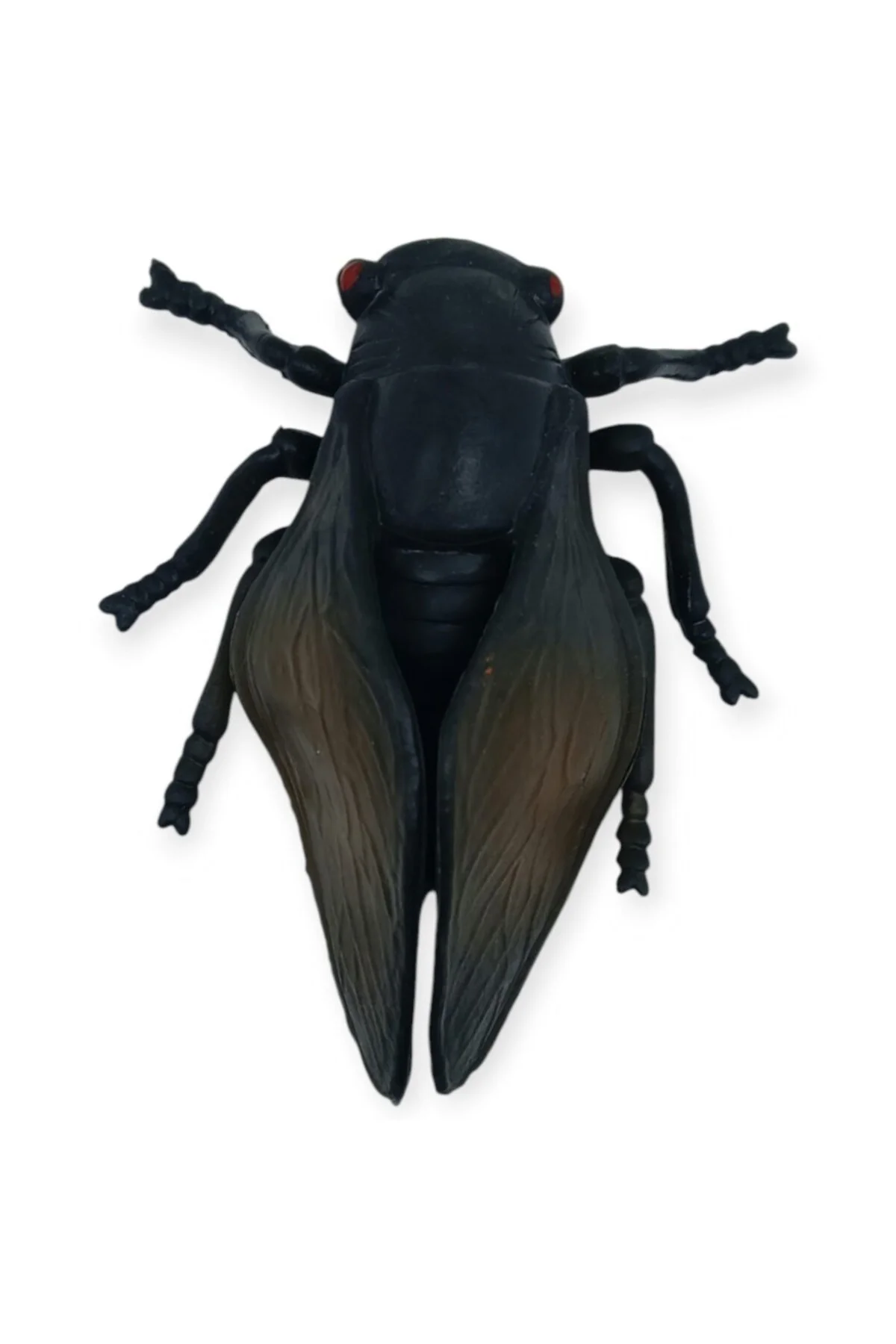 Böcek Figürleri - Gerçekçi Figür - Ağustos Böceği 10 cm (Lisinya)