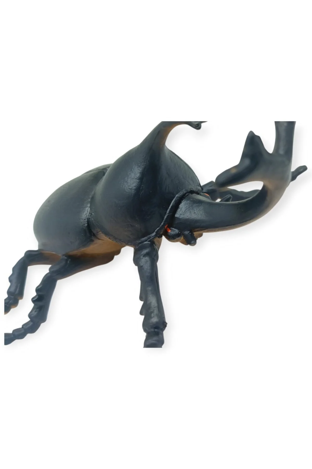 Böcek Figürleri - Gerçekçi Figür - Gergedan Böceği 10 cm (Lisinya