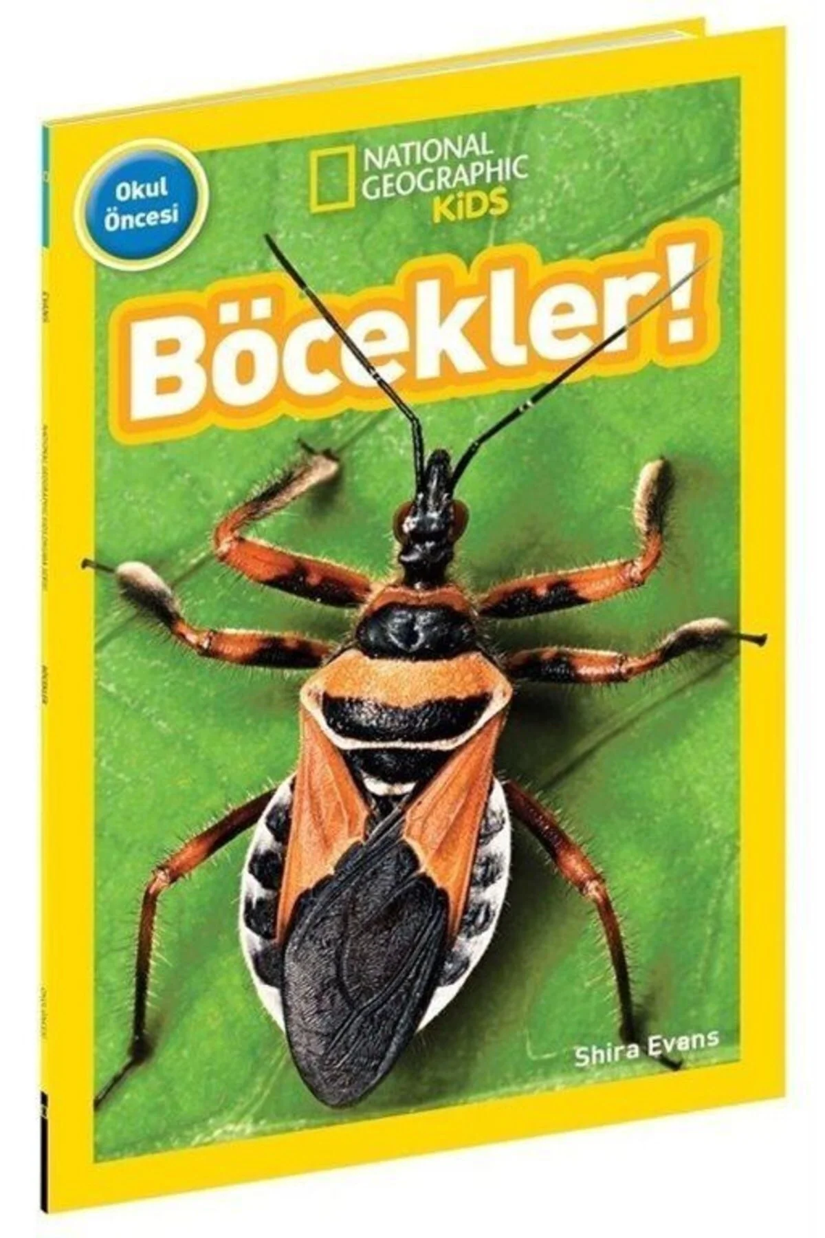 Böcekler! National Geographic Kids - - Shira Evans Kitabı