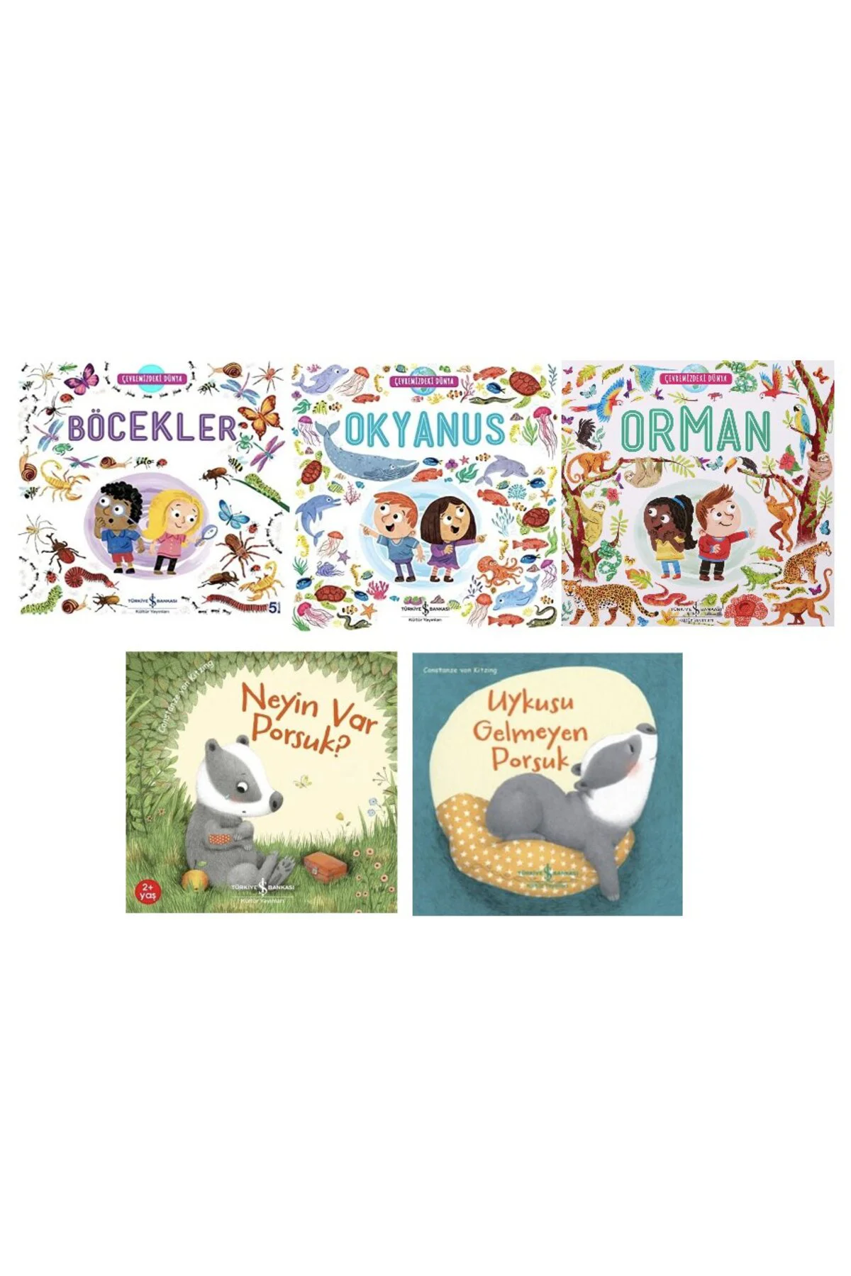 bocekler + okyanus+ orman + neyin var porsuk + uykusu gelmeyen porsuk=(5kitap)