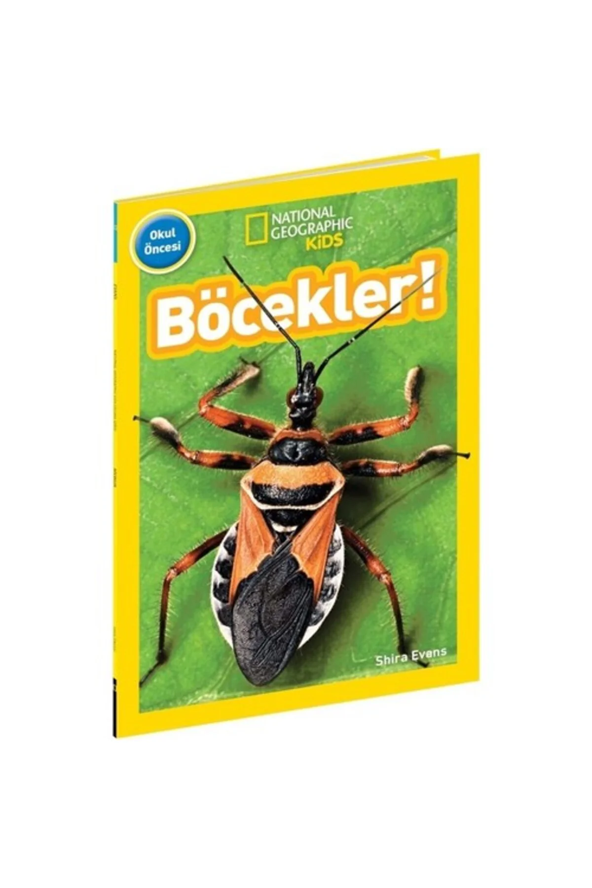 Böcekler