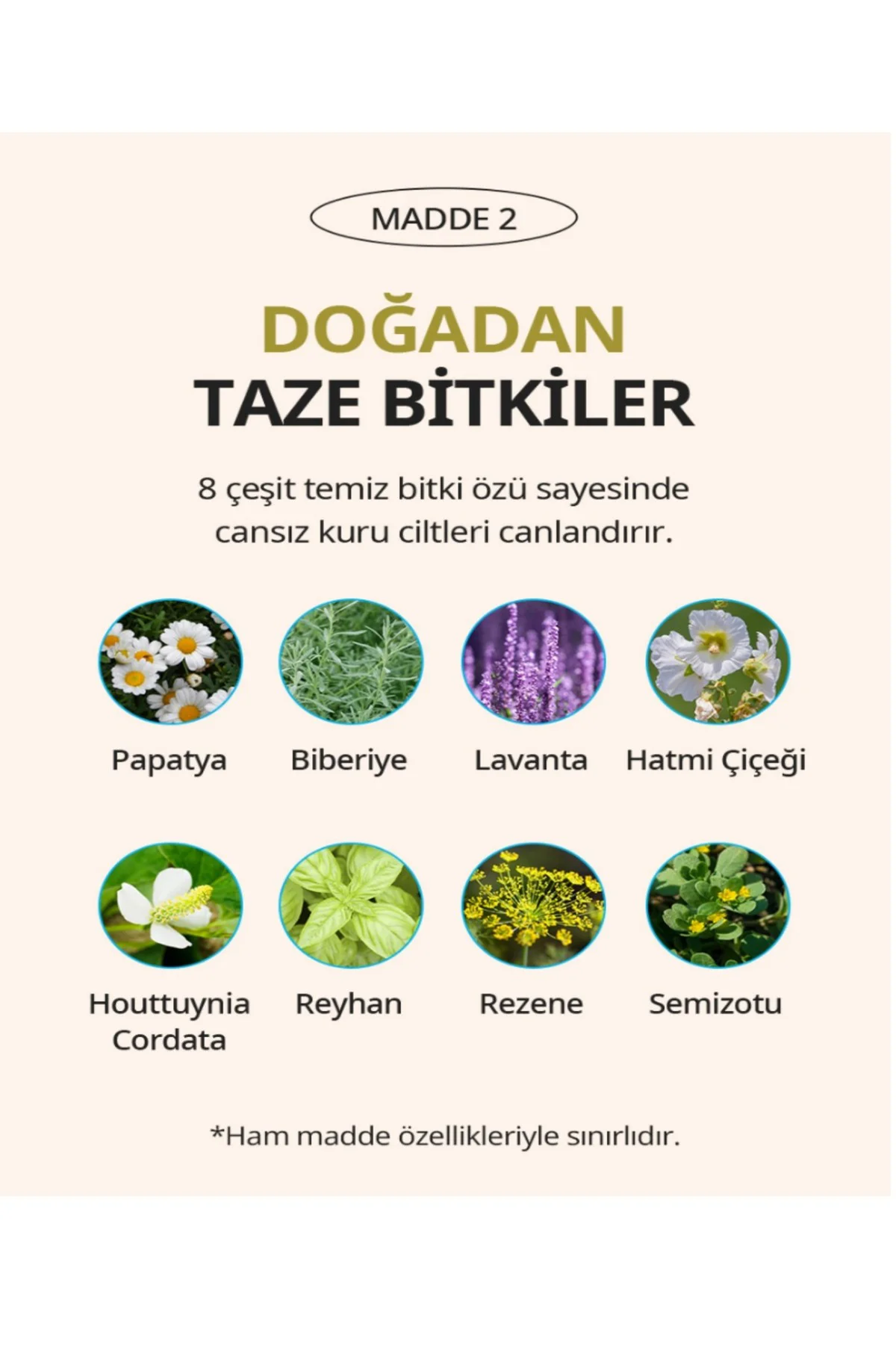 Body Care Body Lotion Vücut Losyonu 300Ml