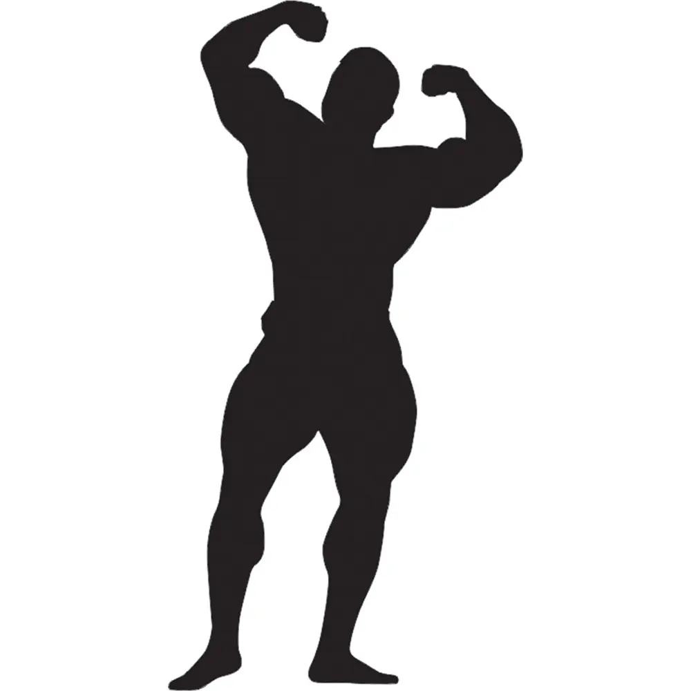 BODY GYM FOLYO STİCKER DERSTV1092 BODY GYM FOLYO STİCKER DERSTV1092