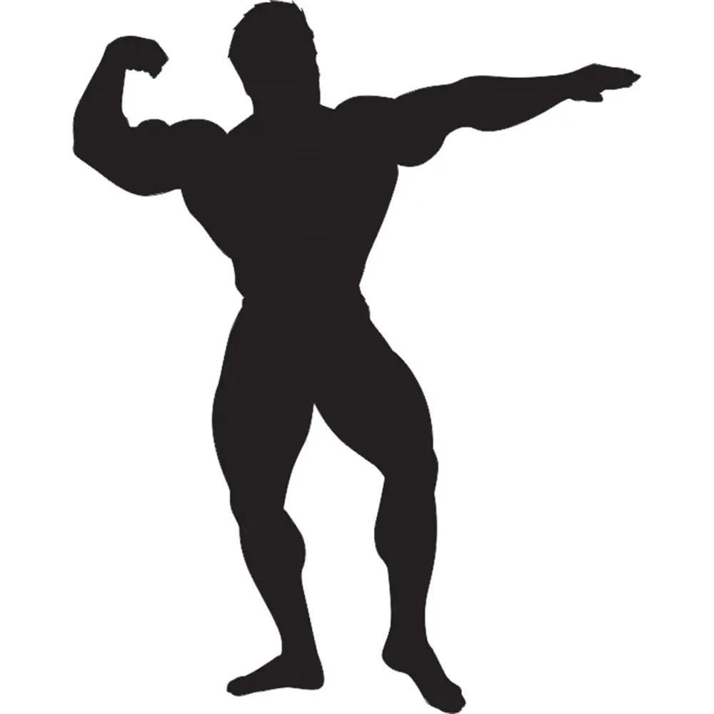 BODY GYM FOLYO STİCKER