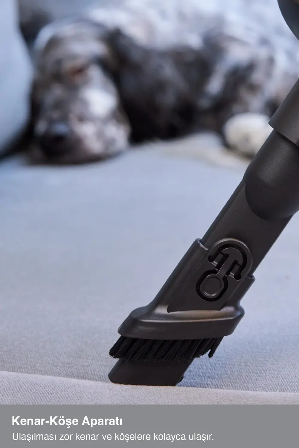 Fakir Bolt X 8365 Dikey Şarjlı Kablosuz Süpürge Silver Furry