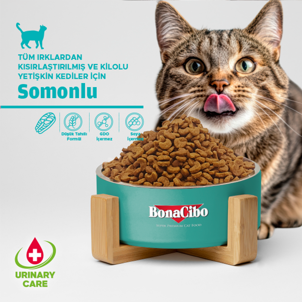 BonaCibo Adult Cat Light Sterilised Somonlu Kısır Kedi Maması 2 k
