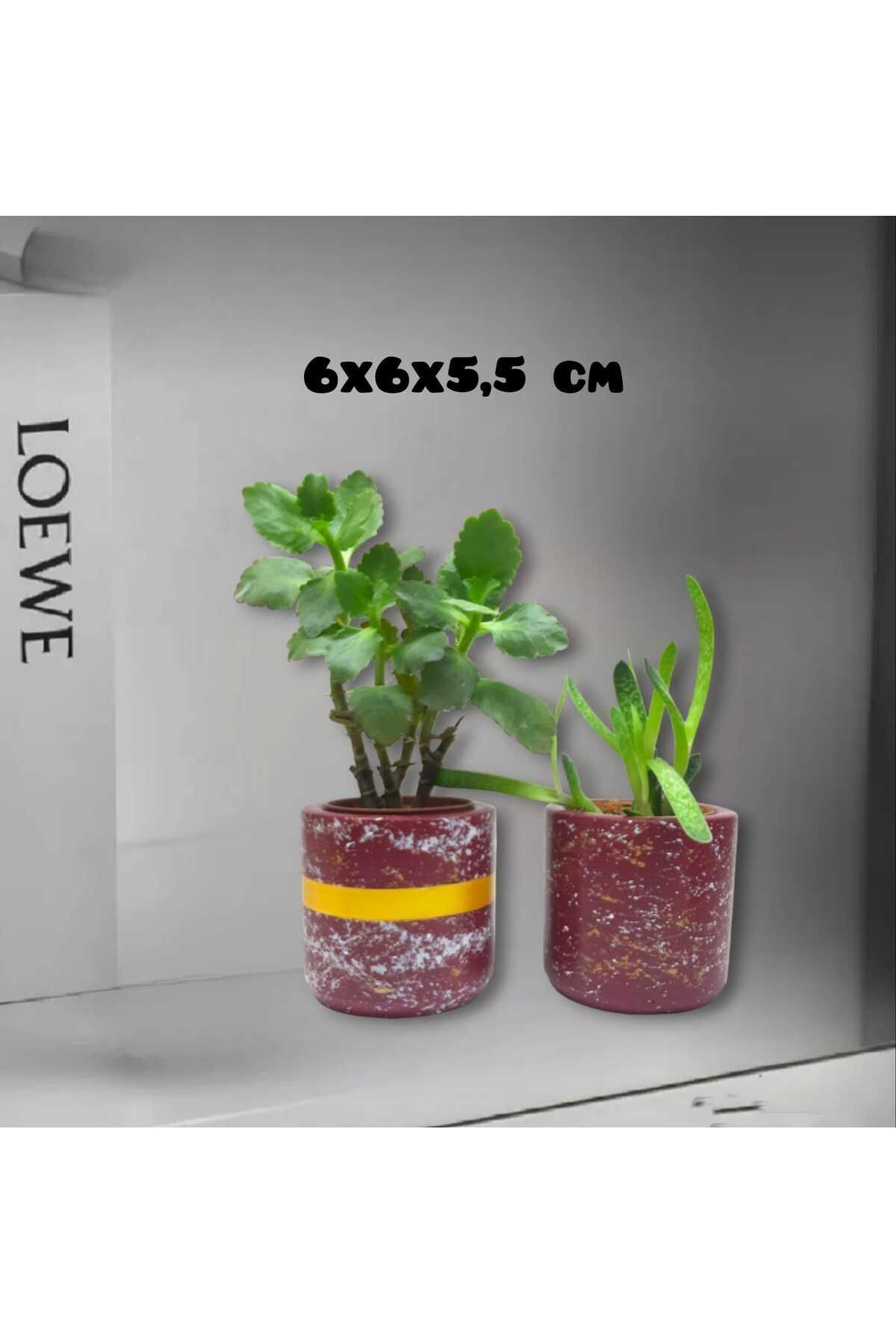 Dodemert Home Bordo Altın Varaklı Beton Tasarım Saksı & Mumluk & Kalemlik 2Li