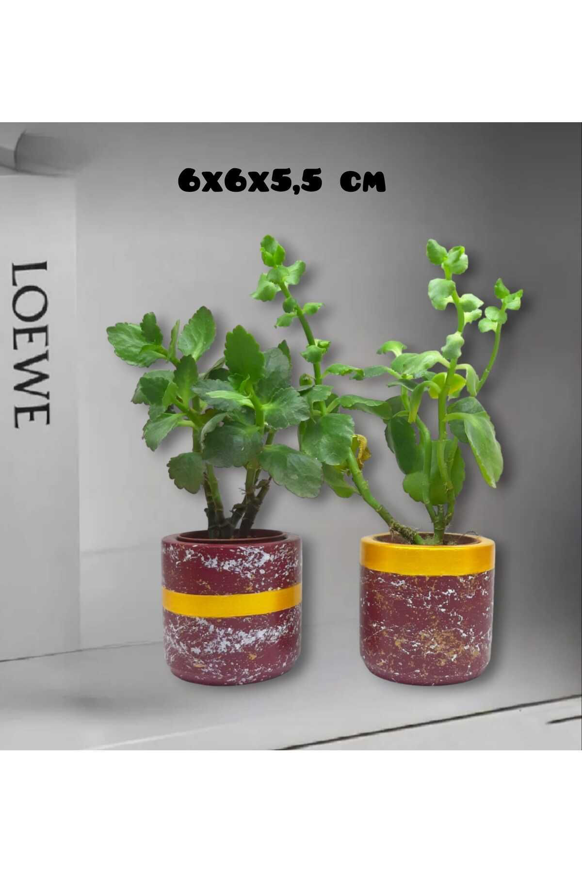 Bordo Beton Tasarım Saksı & Mumluk & Kalemlik 2'li