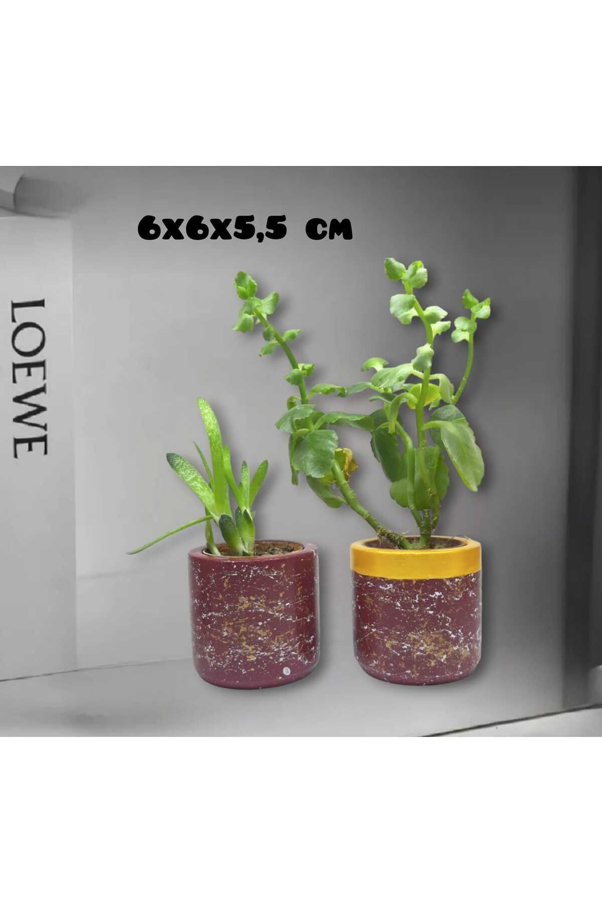 Bordo Beton Tasarım Saksı & Mumluk & Kalemlik 2'li