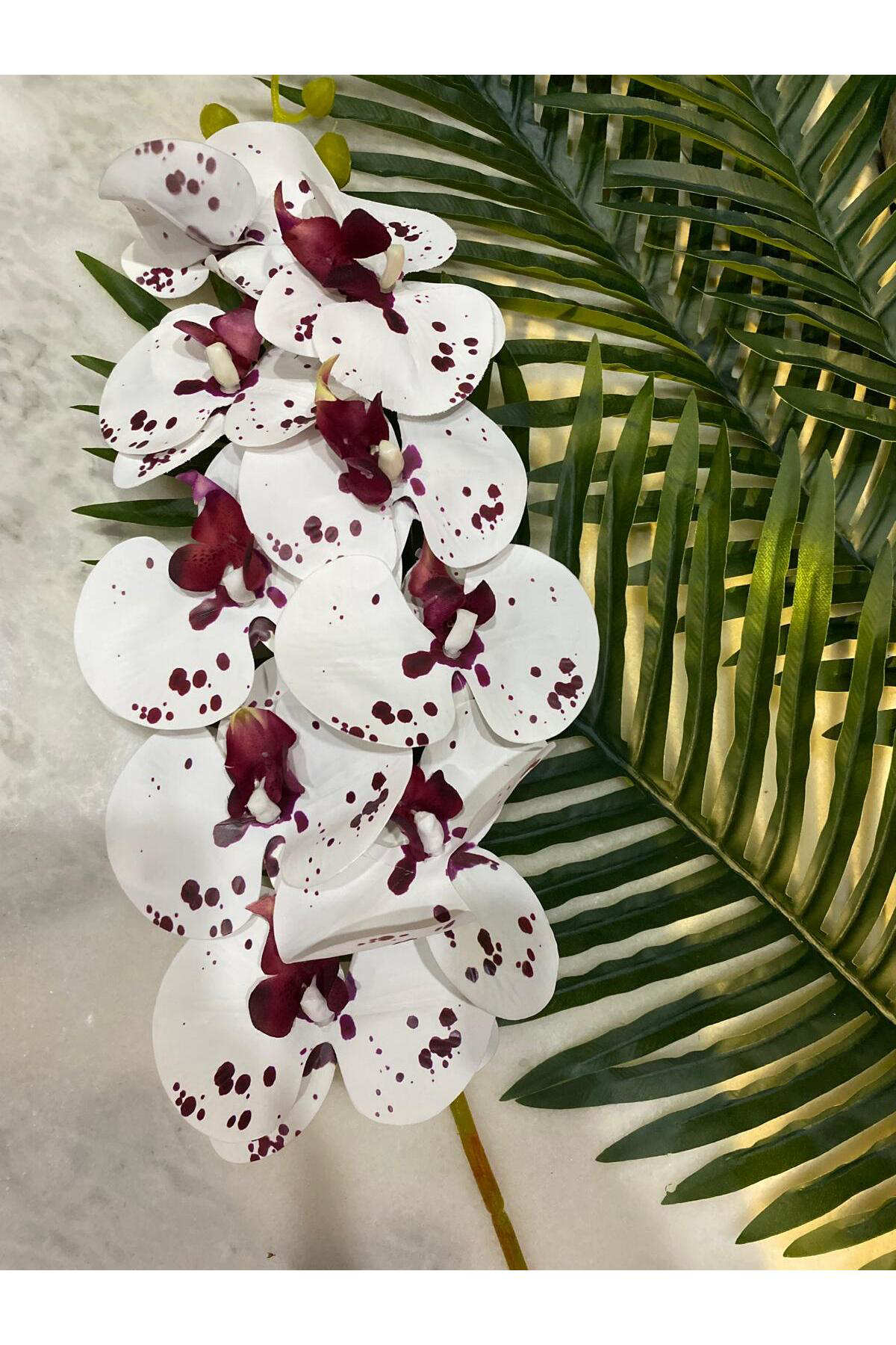 Elif Aksesuar Bordo Beyaz Yapay Orkide Tek Dal 88 Cm