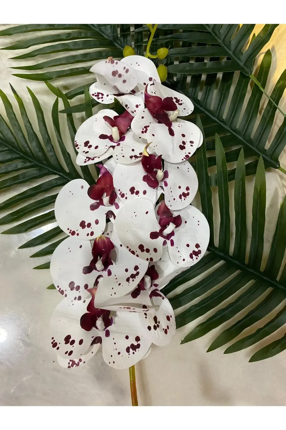 Bordo Beyaz Yapay Orkide Tek Dal 88 Cm