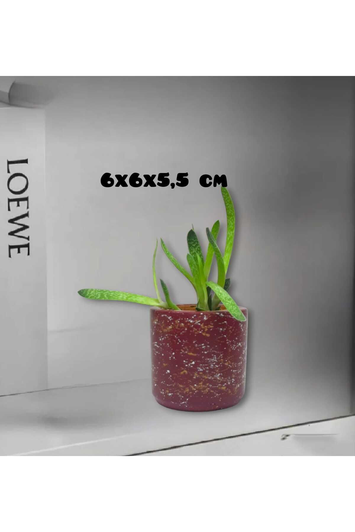 Dodemert Home Bordo Efektli Beton Tasarım Saksı & Mumluk & Kalemlik