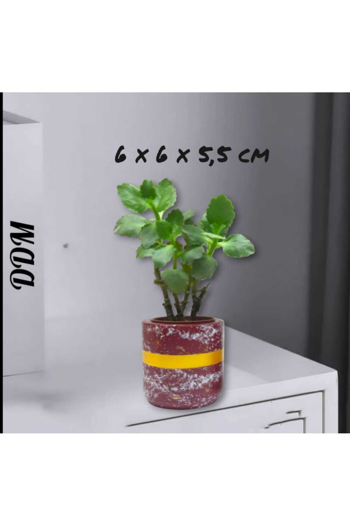 Dodemert Home Bordo Varaklı Beton Tasarım Saksı & Mumluk & Kalemlik