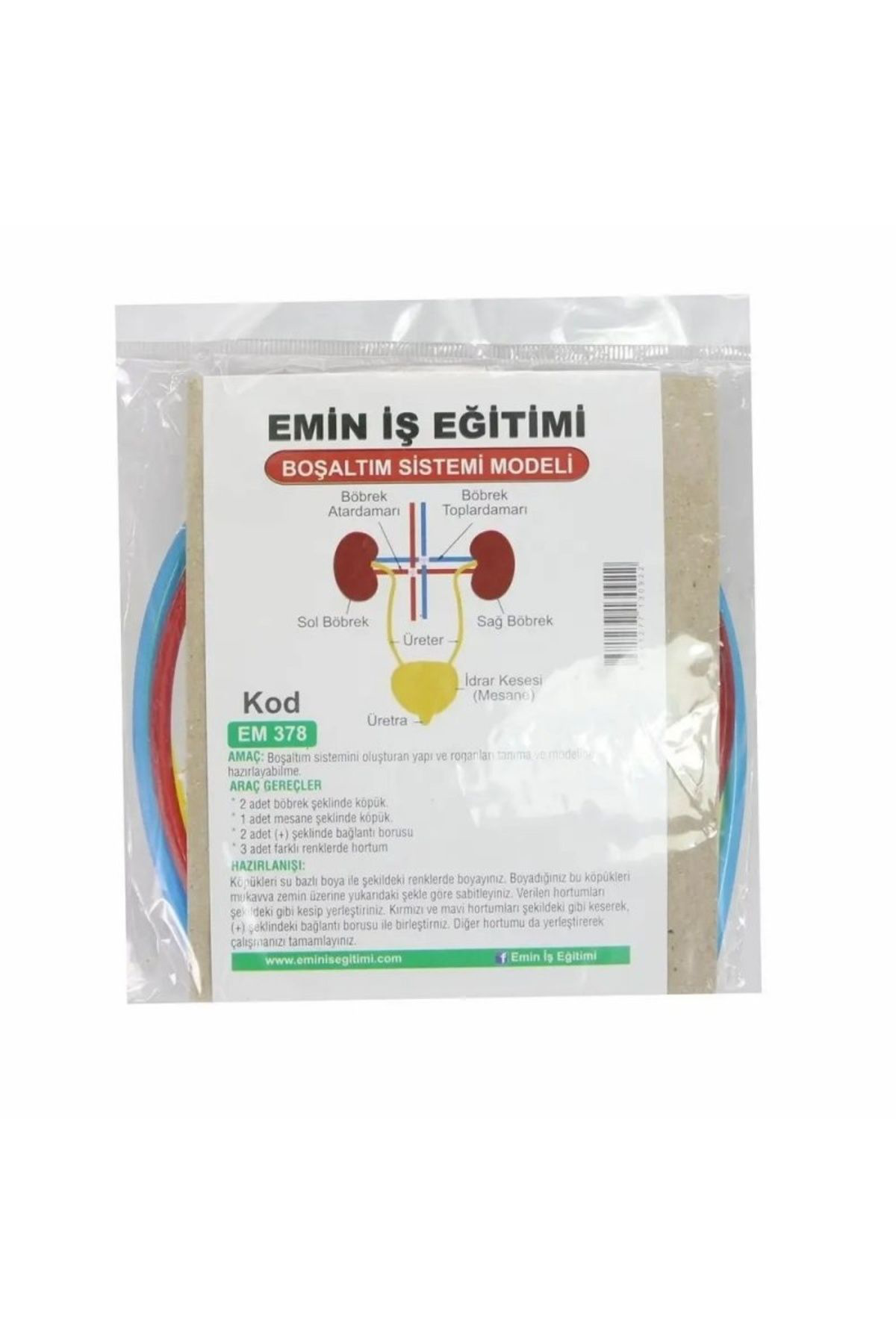 Boşaltım Sistemi Deney Seti