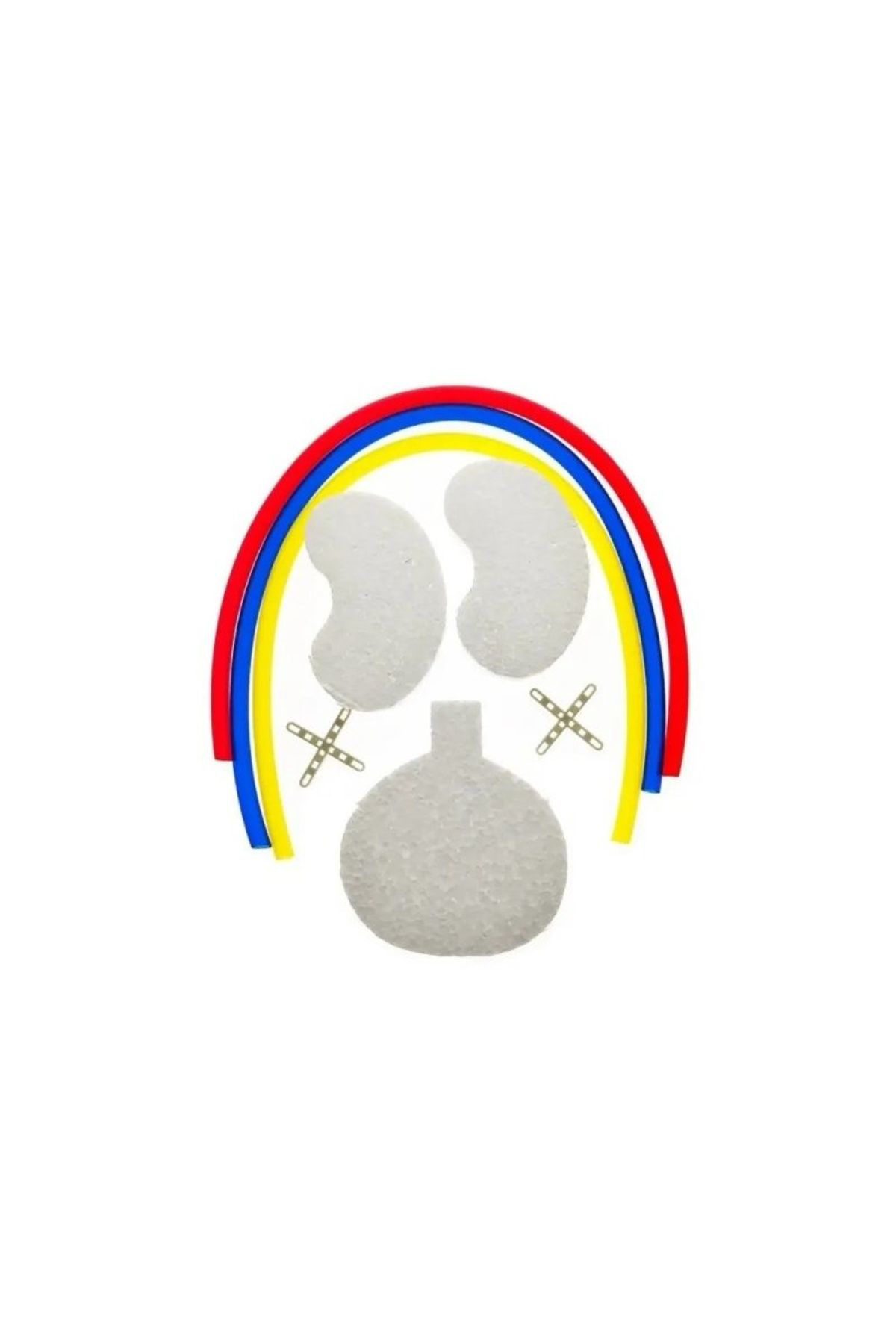 Boşaltım Sistemi Deney Seti