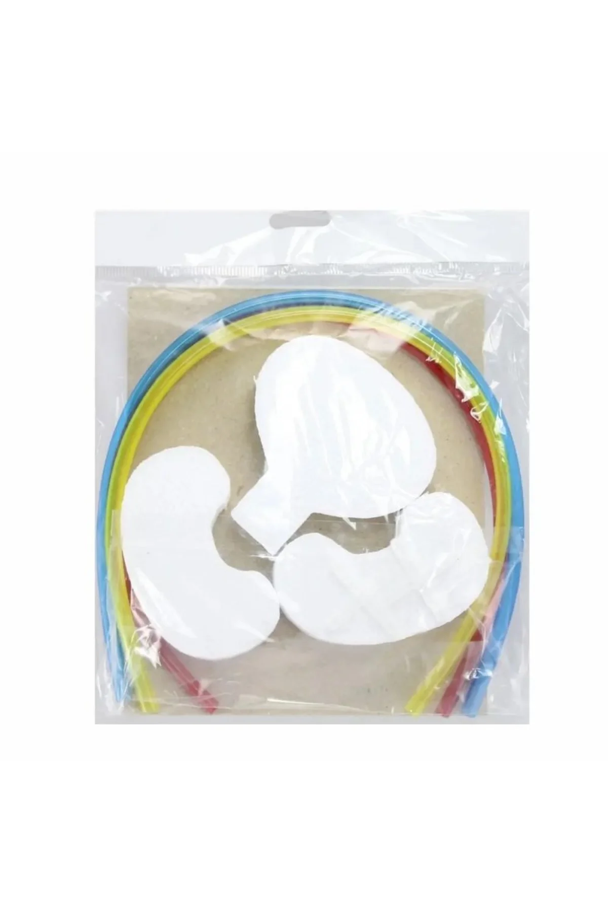 Boşaltım Sistemi Deney Seti