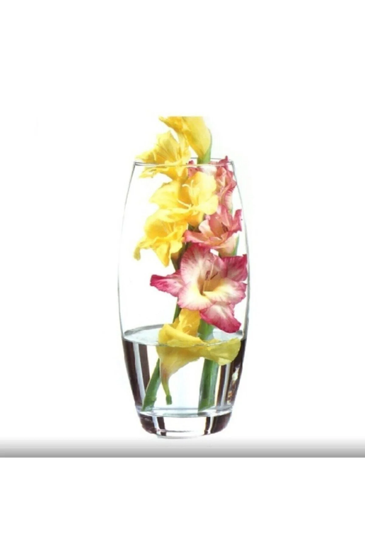 Botanica Vazo 43966 069oa Fiyatı, Yorumları ve Özellikleri