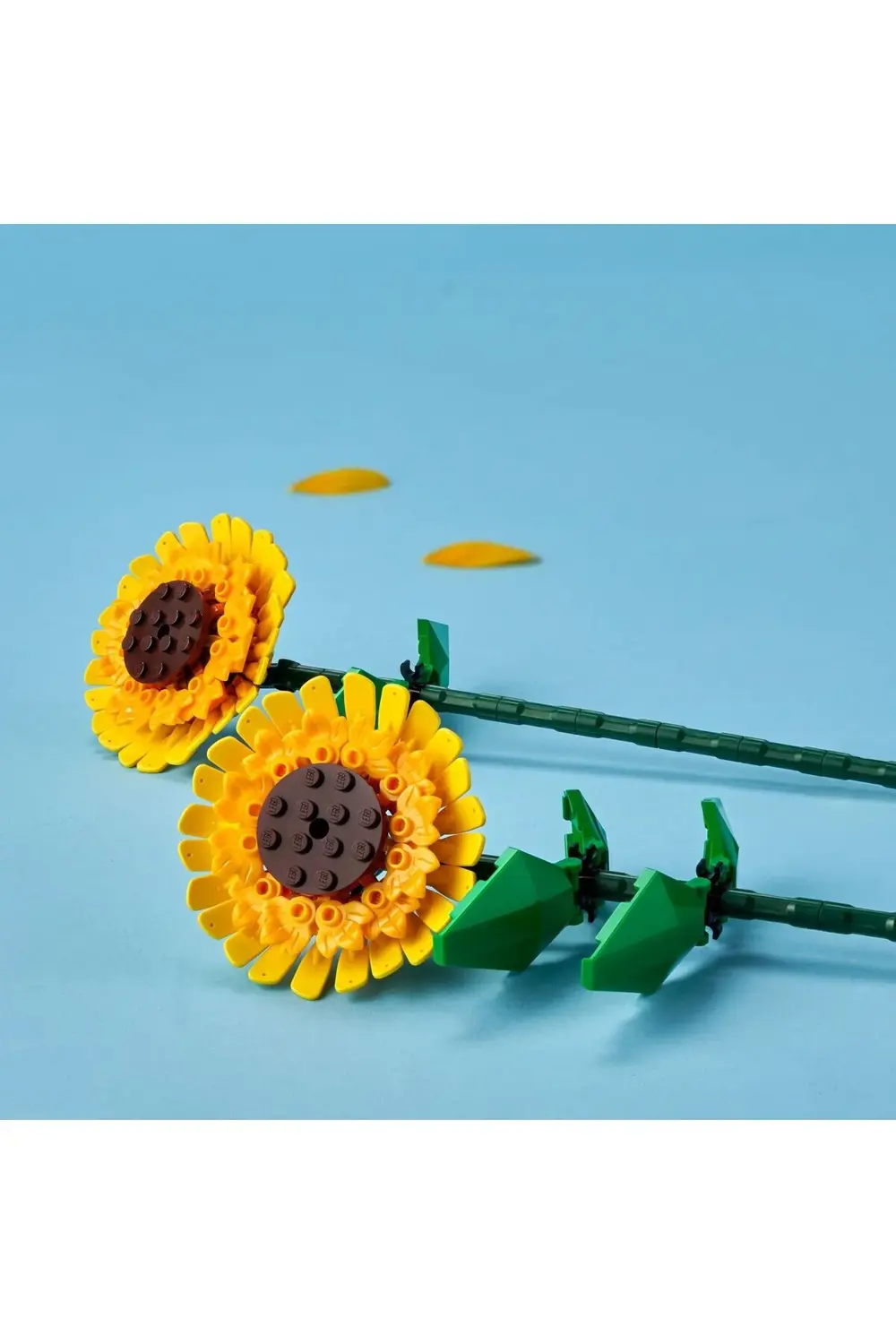 ® Botanicals Ayçiçeği 40524 - 8+ Yaratıcı Çiçek Model Yapım Seti