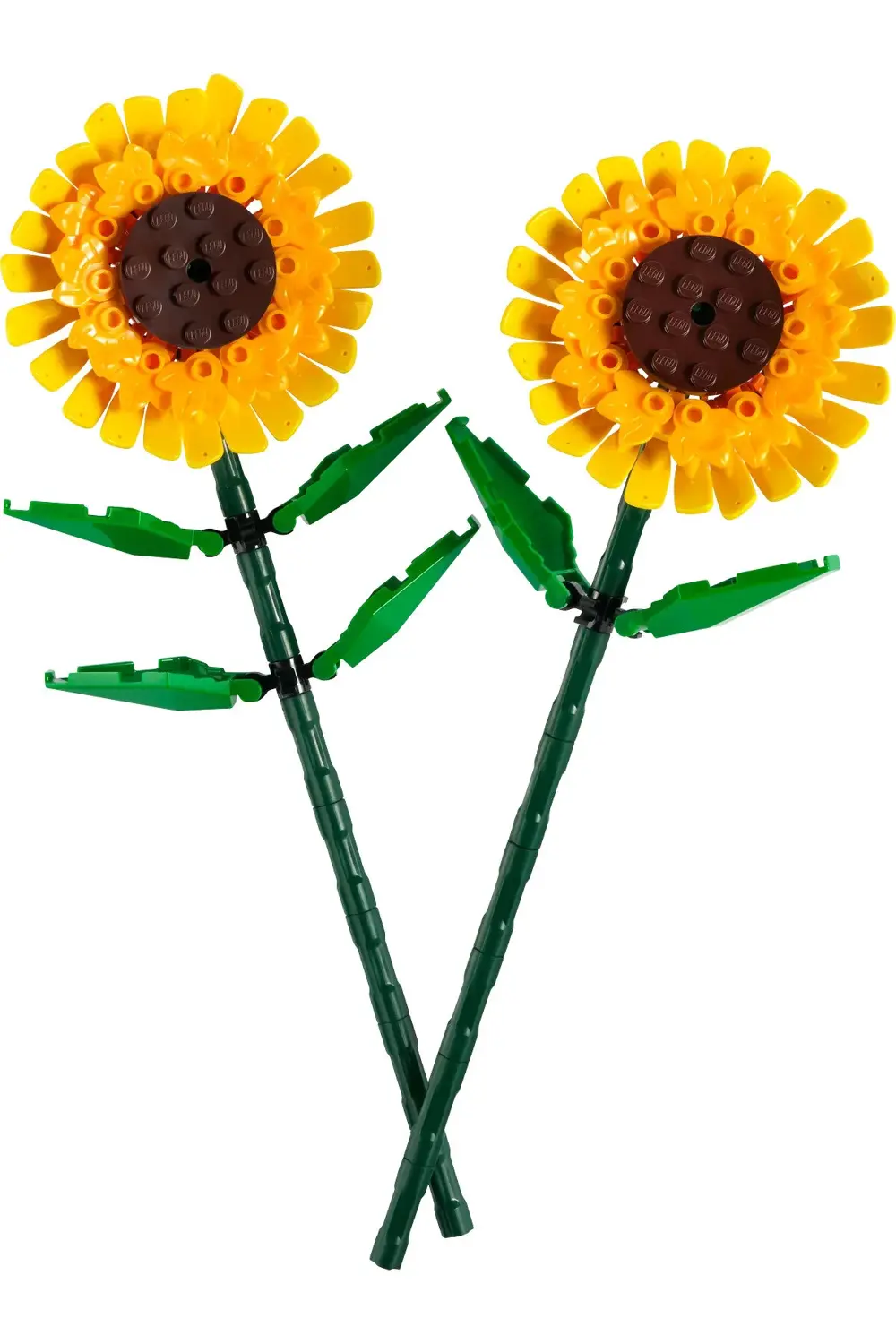 ® Botanicals Ayçiçeği 40524 - 8+ Yaratıcı Çiçek Model Yapım Seti
