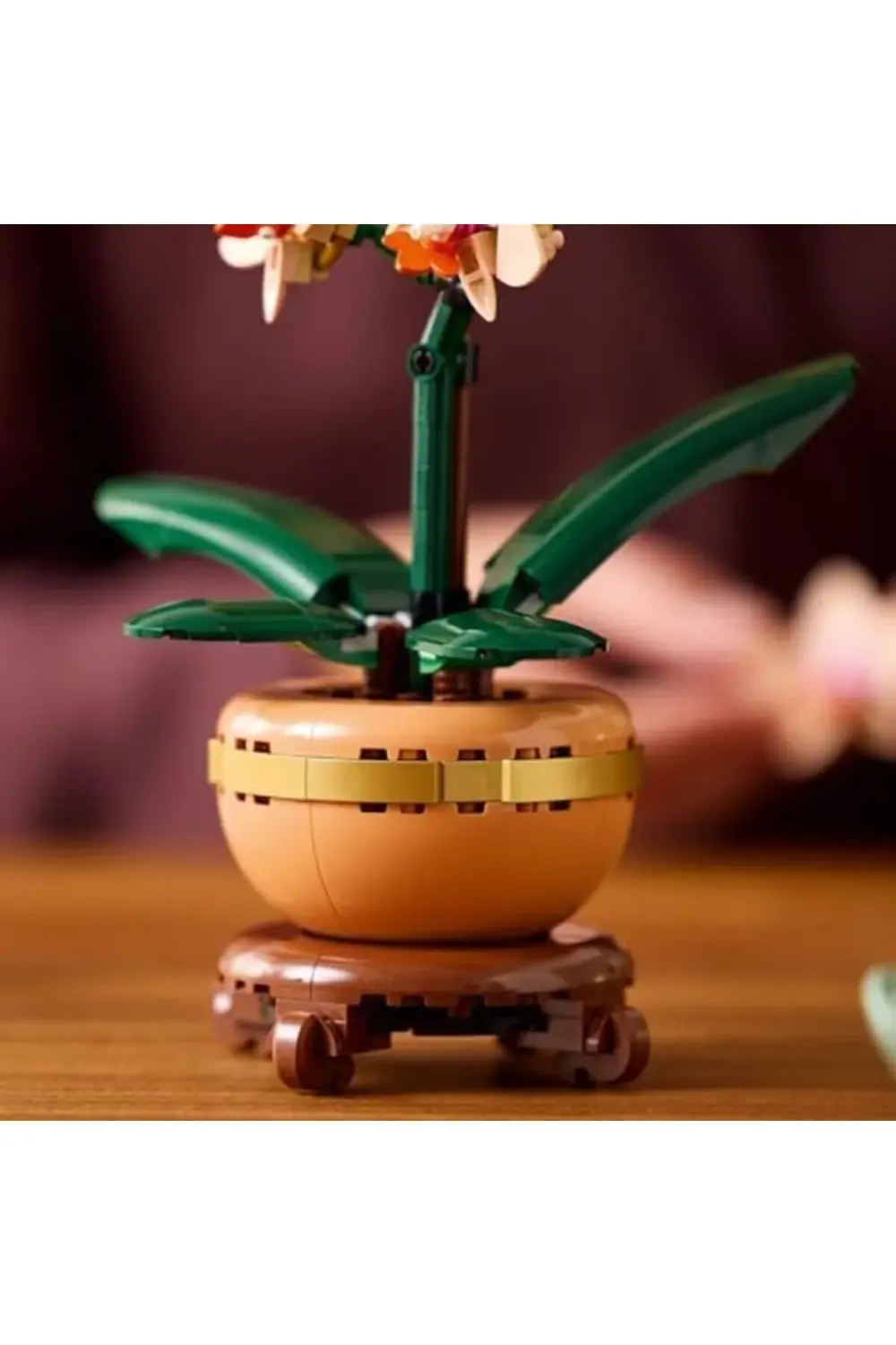 Botanicals Mini Orkide 10343 – Açık Renkli Terakota Saksı ve Ahşa