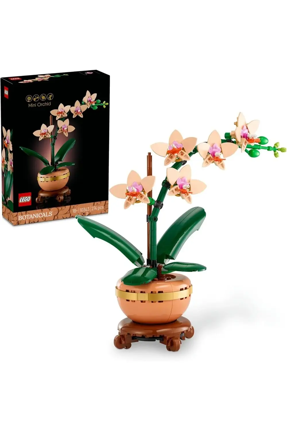 Botanicals Mini Orkide 10343 – Açık Renkli Terakota Saksı ve Ahşa