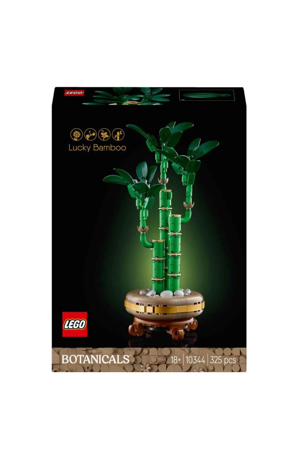 Botanicals Şans Bambusu 10344