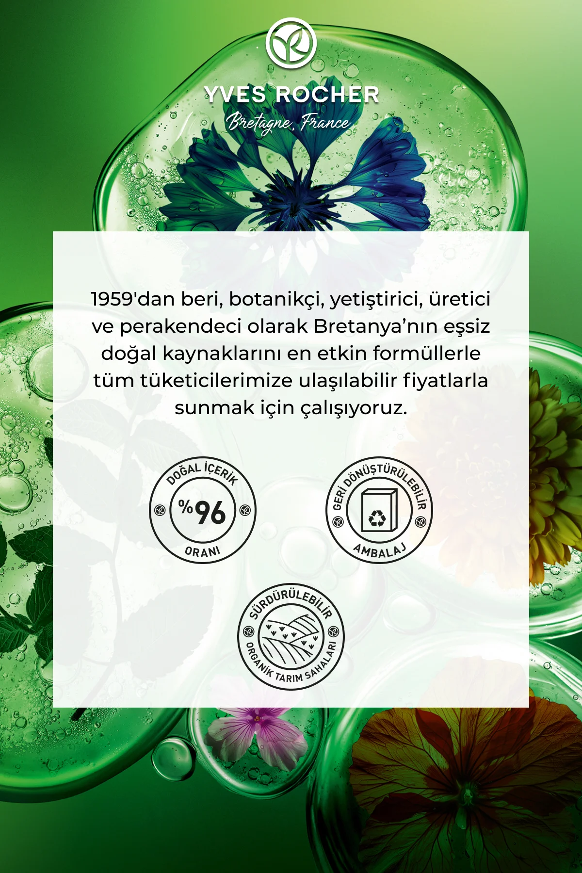 Botanik Sakkarit Kompleks Saç Serumu / Tüm Saçlar / Equilibre - V