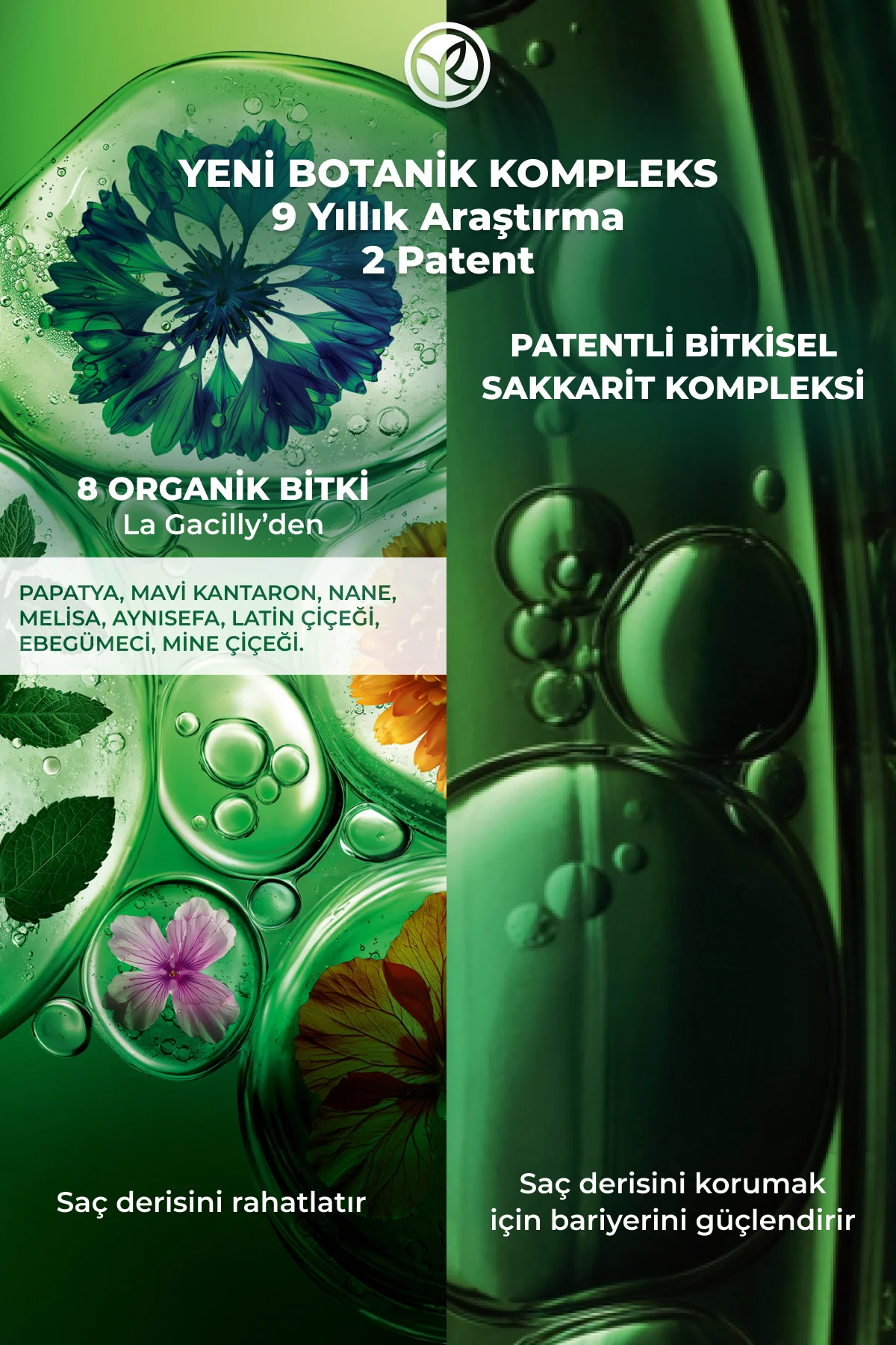 Botanik Sakkarit Kompleks Saç Serumu / Tüm Saçlar / Equilibre - V